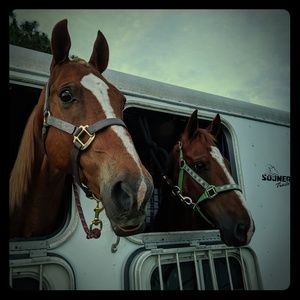 Horse Riding Equipment